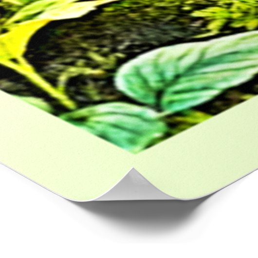 Sonnenbeleuchtete Waldlandschaft Poster (Ecke)