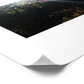 Sonnenbeleuchtete Zweige Hawaii-Farbfotografie Poster (Ecke)