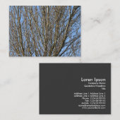 Sonnenbeleuchtete Zweige Visitenkarte (Vorne/Hinten)