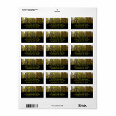 Sonnenbeleuchteter Herbstwald Herbstlandschaft Adressaufkleber (Vorne)