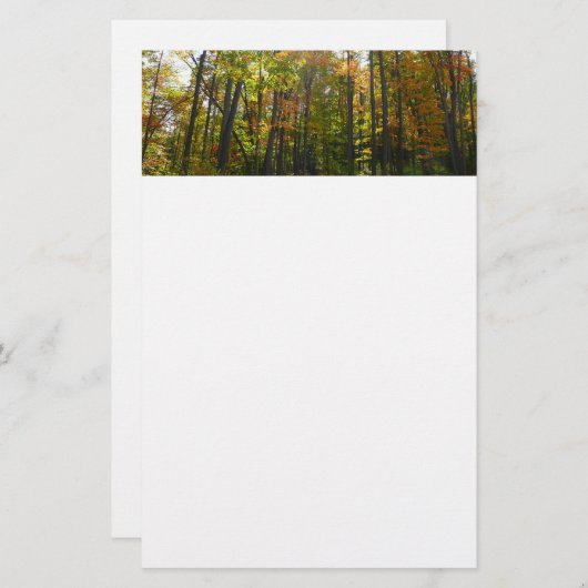 Sonnenbeleuchteter Herbstwald Herbstlandschaft Briefpapier (Vorne/Hinten)