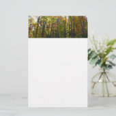 Sonnenbeleuchteter Herbstwald Herbstlandschaft Briefpapier (Stehend Vorderseite)