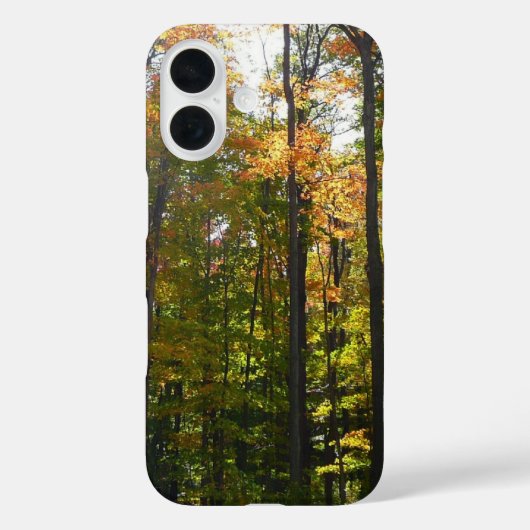 Sonnenbeleuchteter Herbstwald Herbstlandschaft Case-Mate iPhone Hülle (Rückseite)