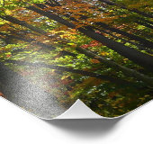 Sonnenbeleuchteter Herbstwald Herbstlandschaft Fotodruck (Ecke)