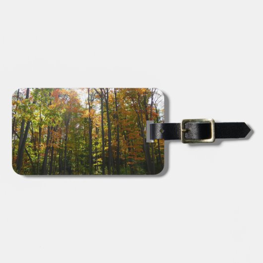 Sonnenbeleuchteter Herbstwald Herbstlandschaft Gepäckanhänger (Vorderseite horizontal)