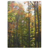 Sonnenbeleuchteter Herbstwald Herbstlandschaft Klemmbrett (Rückseite)