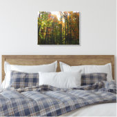 Sonnenbeleuchteter Herbstwald Herbstlandschaft Leinwanddruck (Insitu (Schlafzimmer))