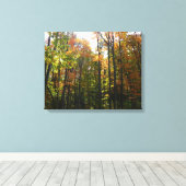 Sonnenbeleuchteter Herbstwald Herbstlandschaft Leinwanddruck (Insitu (Holzboden))