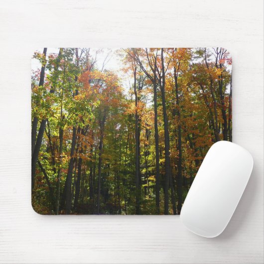 Sonnenbeleuchteter Herbstwald Herbstlandschaft Mousepad (Mit Mouse)