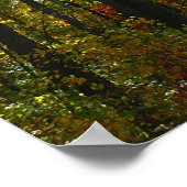 Sonnenbeleuchteter Herbstwald Herbstlandschaft Poster (Ecke)
