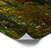 Sonnenbeleuchteter Herbstwald Herbstlandschaft Poster (Ecke)