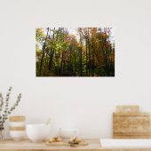 Sonnenbeleuchteter Herbstwald Herbstlandschaft Poster (Küche)