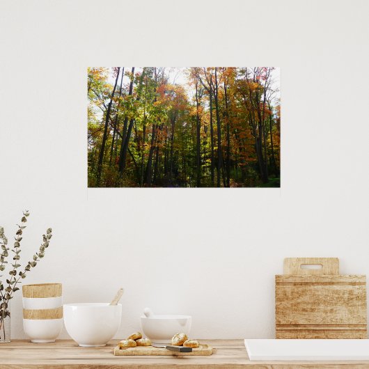Sonnenbeleuchteter Herbstwald Herbstlandschaft Poster (Küche)