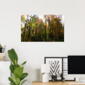 Sonnenbeleuchteter Herbstwald Herbstlandschaft Poster (Heimbüro)