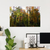 Sonnenbeleuchteter Herbstwald Herbstlandschaft Poster (Heimbüro)