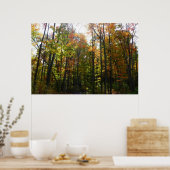 Sonnenbeleuchteter Herbstwald Herbstlandschaft Poster (Küche)