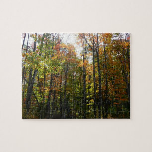 Sonnenbeleuchteter Herbstwald Herbstlandschaft Puzzle