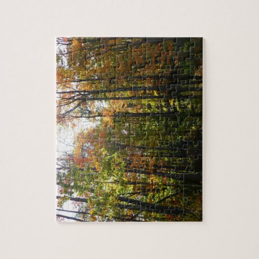 Sonnenbeleuchteter Herbstwald Herbstlandschaft Puzzle (Vertikal)