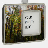 Sonnenbeleuchteter Herbstwald Herbstlandschaft Rahmen-Ornament Silber (Rechts)