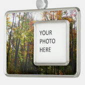 Sonnenbeleuchteter Herbstwald Herbstlandschaft Rahmen-Ornament Silber (Links)