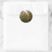 Sonnenbeleuchteter Herbstwald Herbstlandschaft Runder Aufkleber (Tasche)