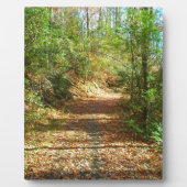 Sonnenbeleuchteter Herbstwaldpfad Fotoplatte (Vorderseite)