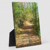 Sonnenbeleuchteter Herbstwaldpfad Fotoplatte (Seite)