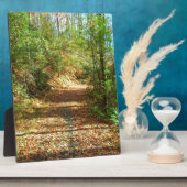 Sonnenbeleuchteter Herbstwaldpfad Fotoplatte (Seite)