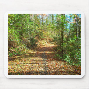 Sonnenbeleuchteter Herbstwaldpfad Mousepad