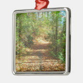 Sonnenbeleuchteter Herbstwaldpfad Silbernes Ornament (Links)