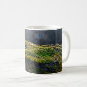 "Sonnenbeleuchteter Waldboden - Moss Nah-up bei Dä Kaffeetasse (VorderseiteRechts)