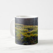 "Sonnenbeleuchteter Waldboden - Moss Nah-up bei Dä Kaffeetasse (Vorderseite Links)
