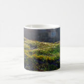 "Sonnenbeleuchteter Waldboden - Moss Nah-up bei Dä Kaffeetasse (Mittel)