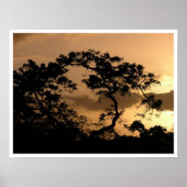 Sonnenbeobachter Poster (Vorne)