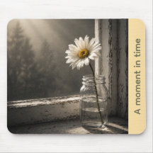 Sonnenbeschienene Daisy „Ein Moment in der Zeit“ M
