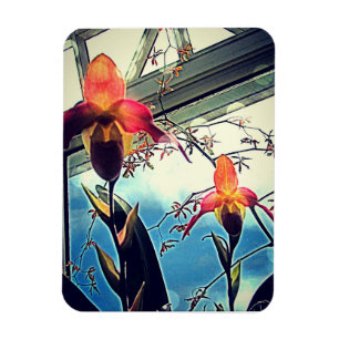 Sonnenbeschienene Orchideen Flexi-Fotomagnet Magnet