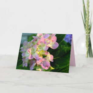 Sonnenbeschienene rosa Hortensien-Trauerkarte Karte