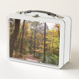 Sonnenbeschienener Herbstweg im Laurel Hill State  Metall Brotdose