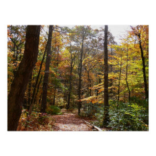 Sonnenbeschienener Herbstweg im Laurel Hill State  Poster