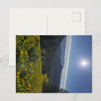 Sonnenbeschienenes Tal Postkarte