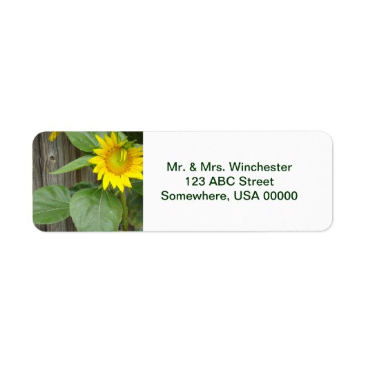 Sonnenblume (Vorne)