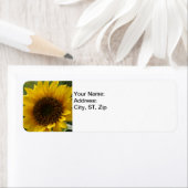 Sonnenblume (Insitu)