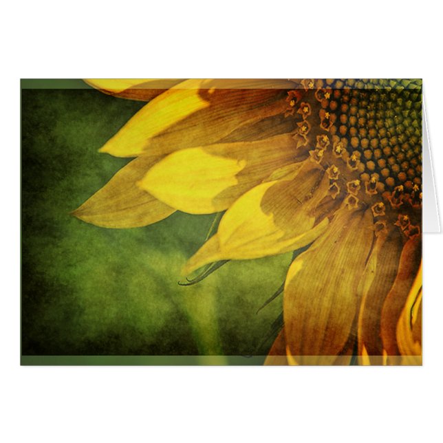 Sonnenblume (Vorderseite (Horizontal))