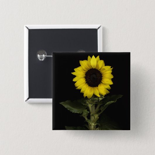 Sonnenblume 11 button (Vorne & Hinten)