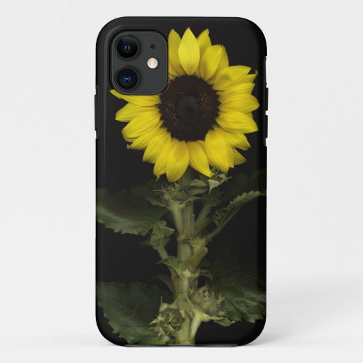 Sonnenblume 11 Case-Mate iPhone hülle (Rückseite)