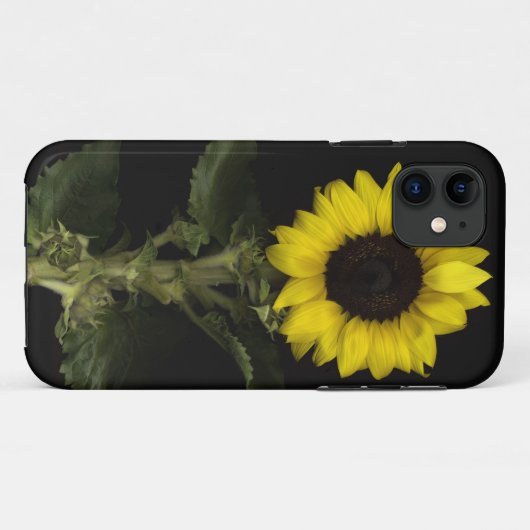 Sonnenblume 11 Case-Mate iPhone hülle (Rückseite (Horizontal))