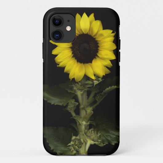 Sonnenblume 11 Case-Mate iPhone hülle (Rückseite)