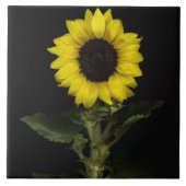 Sonnenblume 11 fliese (Vorderseite)