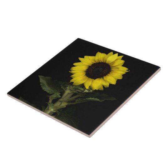 Sonnenblume 11 fliese (Seite)