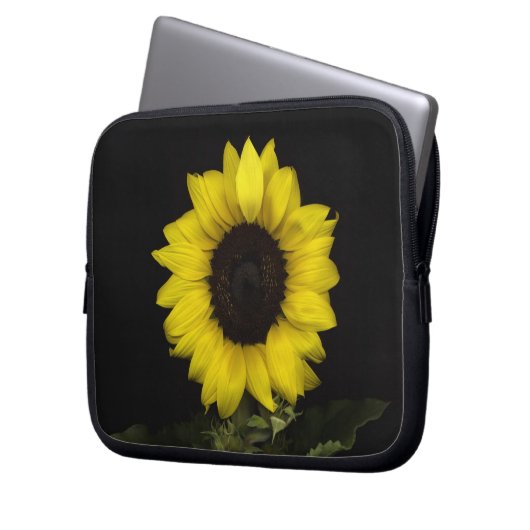 Sonnenblume 11 laptopschutzhülle (Vorderseite Links)